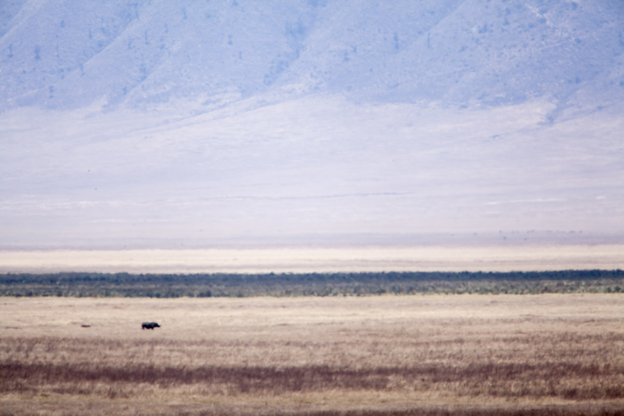 safarioct2013-27